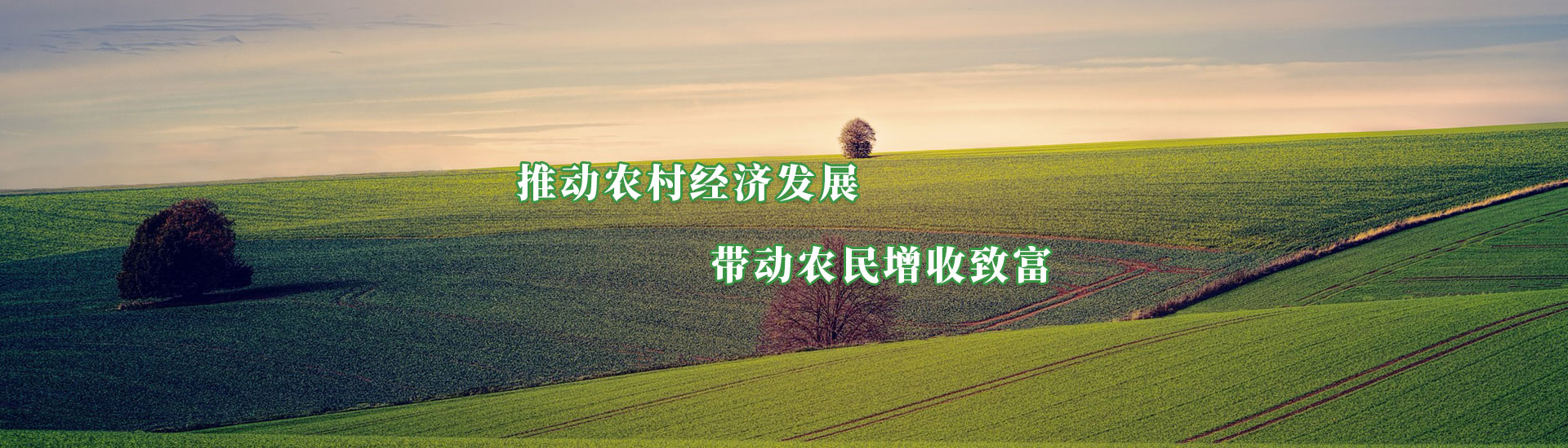 NG官网 - 相信品牌的力量