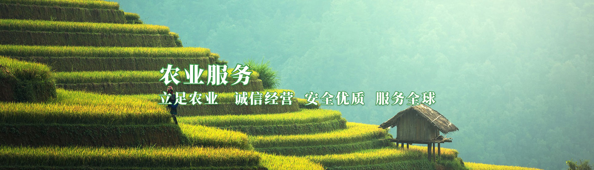 NG官网 - 相信品牌的力量