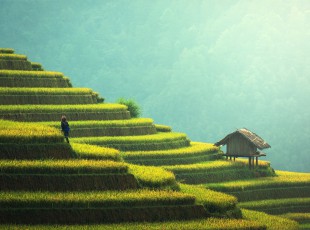 村落环境“大变样” 绘就康庄俏丽村落新画卷