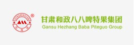 合作同伴2