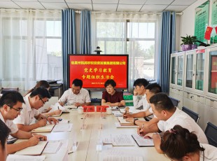 NG官网 召开党史进建教育专题组织生涯会