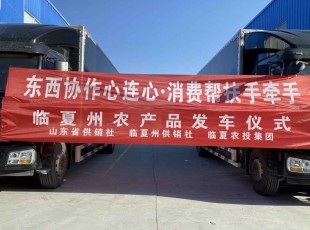 临夏NG官网集团进杏装器材合作心连心·消费助扶手牵手”农产品发车典礼